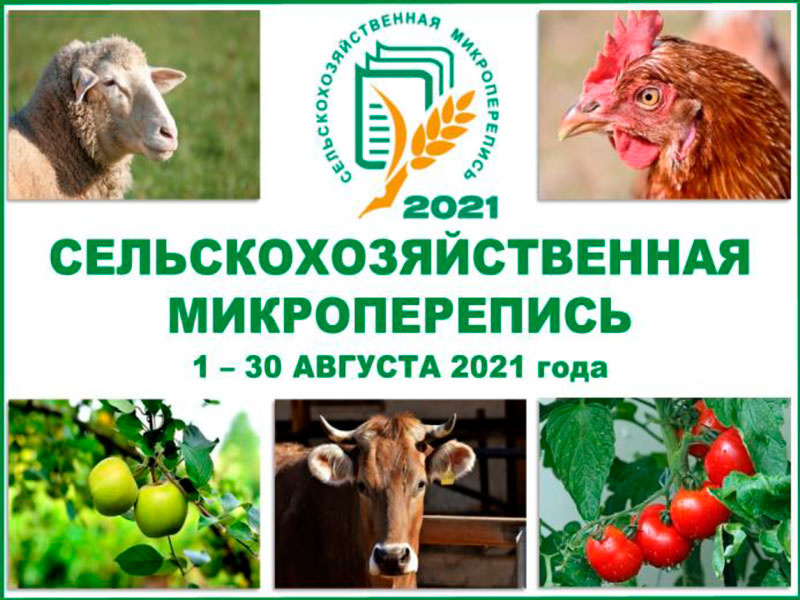 В Московской области пройдет сельскохозяйственная микроперепись