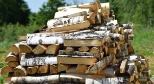 Комлесхоз рассказал жителям Подмосковья, какие дрова лучше всего заготовить на зиму