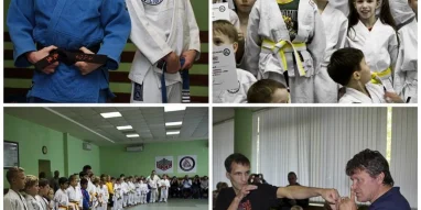 Клуб боевых искусств Gracie jiu-jitsu Russia ilmma фотография 3