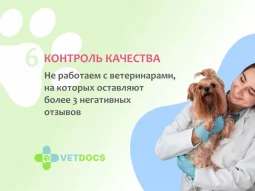 Ветеринарная клиника Vetdocs на Лихачёвском проспекте фотография 2
