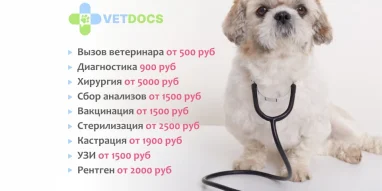 Ветеринарная клиника Vetdocs на Лихачёвском проспекте фотография 3