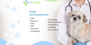Ветеринарная клиника Vetdocs на Лихачёвском проспекте фотография 1
