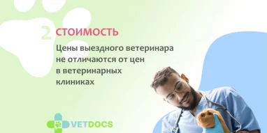 Ветеринарная клиника Vetdocs на Лихачёвском проспекте фотография 12