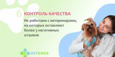 Ветеринарная клиника Vetdocs на Лихачёвском проспекте фотография 2